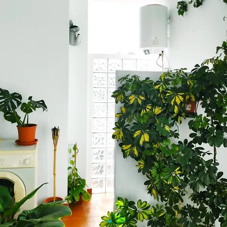 Agua Marina Apartment *